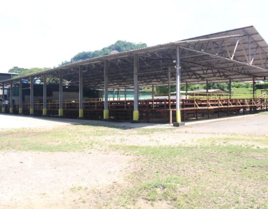 Corrales de Servicios Industriales Rio Grita